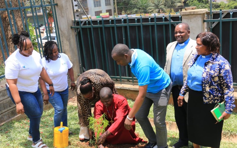 Tree Donation led  by ENVIRONMENTAL ACTION ALLIANCE in partnership with other  organizations